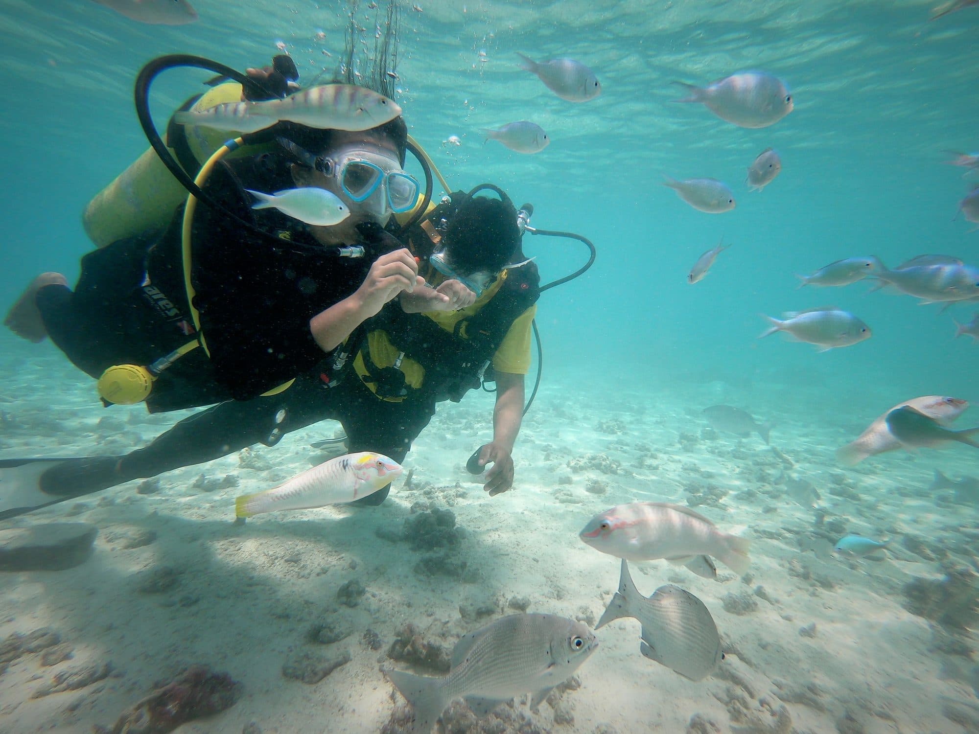 A certified diver exploring the reef among tropical fish